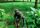oficial sembrando planta, ejército de nicaragua, sembrar, reforestación, flora, san juan de nicaragua, marena