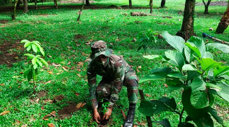 oficial sembrando planta, ejército de nicaragua, sembrar, reforestación, flora, san juan de nicaragua, marena