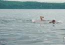 ejercito de nicaragua, laguna de xiloa, campeonato de natacion, nicaragua,