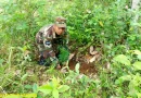 ejercito de nicaragua, jornada de reforestacion, san carlos, rio san juan, nicaragua, siembra de arboles,