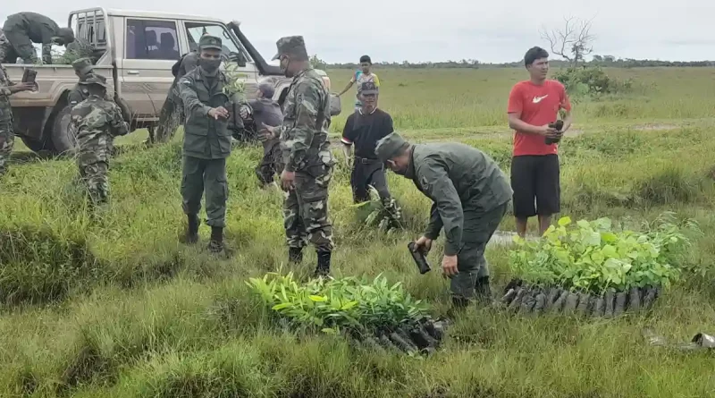 jornada de reforestacion, reforestacion ambiental, siembra de arboles, ejercito de nicaragua, puerto cabezas, comunidad klingna,