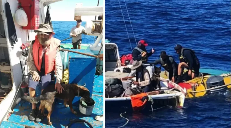 rescate, marinero, australiano, perrita, junto, deriva, sobrevivir, logró, supervivencia, océano, aguas, mar, embarcación, milagroso, mexicanos, atunero,