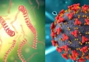 leptospirosis, neumonia, enfermedades, datos epidemiologicos nicaragua, noticias nicaragua