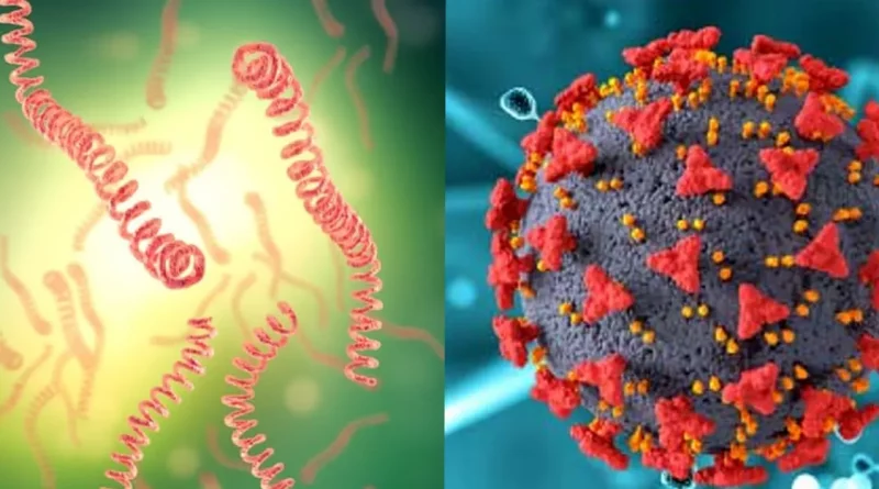 leptospirosis, neumonia, enfermedades, datos epidemiologicos nicaragua, noticias nicaragua