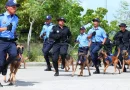 policia de nicaragua, tecnica canina, guias caninos, droga,