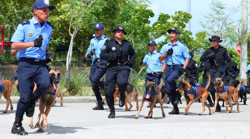 policia de nicaragua, tecnica canina, guias caninos, droga,