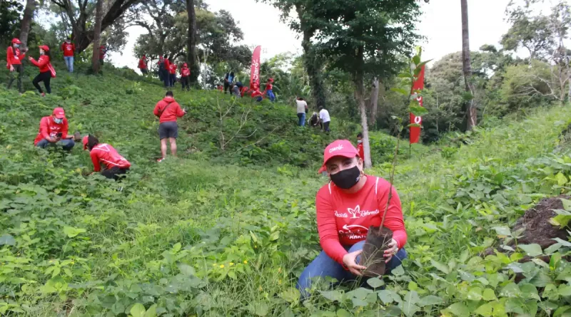 claro, reforestación, Nicaragua, recicla, reforesta, salva lo bonito, claro