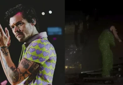 video, viral, harry styles, one direction, concierto, golpe, objeto