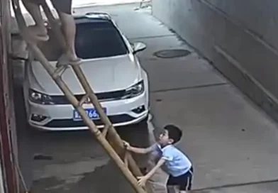 video, china, hebei, caida, niño, padre, escalera