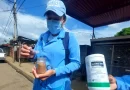 dengue, minsa, managua, nicaragua, barrio 30 de mayo,