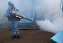 neumonia, leptospirosis, enfermedades, epidemica, nicaragua, minsa, salud