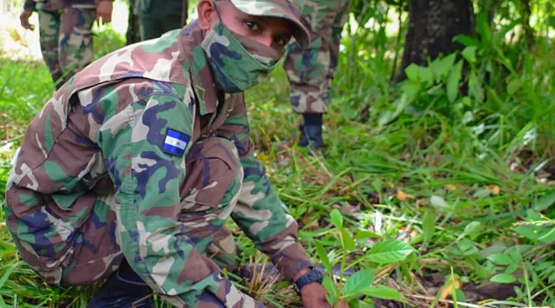 reforestacion, ejercito de nicaragua, destacamento militar sur, san carlos, rio san juan