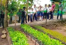 nicaragua, jinotega, vivero, reforestación, jinotega, ejercuto, Nicaragua, ejército, participación, vivero, forestal,