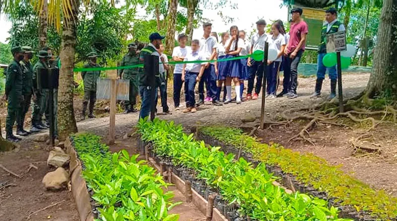 nicaragua, jinotega, vivero, reforestación, jinotega, ejercuto, Nicaragua, ejército, participación, vivero, forestal,