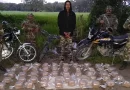 ejercito de nicaragua, incautacion de droga, jalapa, nueva segovia,