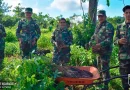 ejercito de nicaragua, marena, jornada de reforestacion ambiental, nicaragua