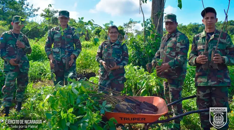 ejercito de nicaragua, marena, jornada de reforestacion ambiental, nicaragua