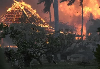 hawai, incendios, perdidas, antes y despyues, estados unidos, tendencia, redes sociales