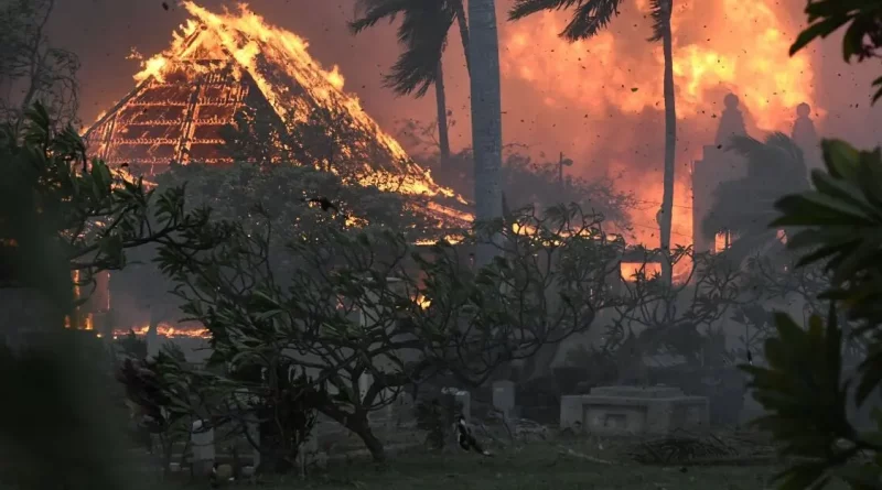 hawai, incendios, perdidas, antes y despyues, estados unidos, tendencia, redes sociales