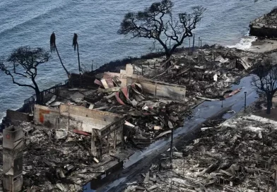 incendio, hawai, maui, muertos, reconocimiento, heridos, policia, estados unidos