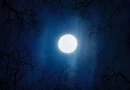 agosto, evento, astrónomos, luna, superluna, azul, más grande, año, 2023, fenómeno, extraordinario, cielo, nocturno, disfrutar, mes, prepárate, espectáculo,