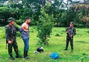 ejeercito de nicaragua, managua, ejercito, delincuente,. detienen delincuente, delincuente,