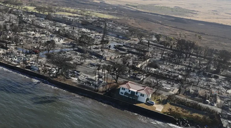 casa, intacta, incendios, Hawái, sobrevive, devastadores, zona, arrasada, vivienda, ilesa, Lahaina,