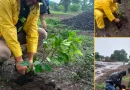 enacal, reforestacion, leon, rio chiquito, rio pochote, nicaragua