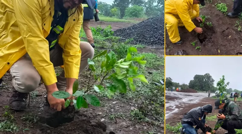 enacal, reforestacion, leon, rio chiquito, rio pochote, nicaragua