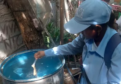 MINSA, brigadista, unidad de salud, Managua, barrio, Francisco Buitrago, Nueva Libia, casa, vivienda, lucha, antiepidémica, jornada, dengue, combaten, larvicida,
