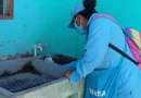 minsa, larvicida, bti, dengue, nicaragua, managua, villa reconciliacion norte,