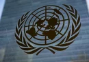 opinion, derechos humanos, onu, naciones unidas