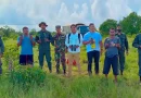 ejercito de nicaragua, jornada de reforestacion, ejercito, puerto cabezas, nicaragua