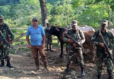 nicaragua, ejercito, manera ilegal, matagalpa