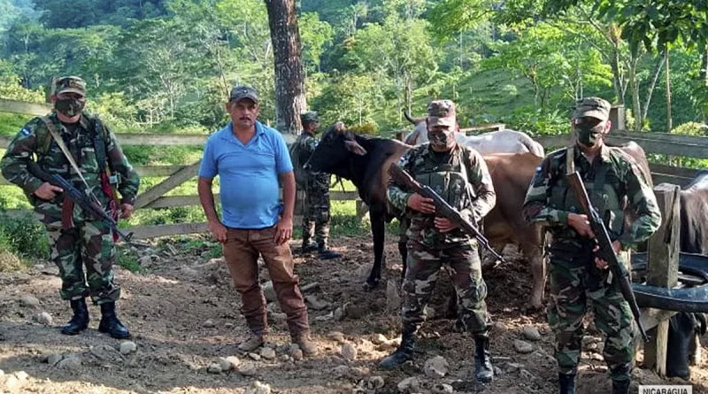 nicaragua, ejercito, manera ilegal, matagalpa