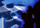 comunicadores patrióticos, nicaragua, dia internacional del periodista