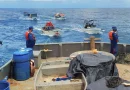 fuerza naval, nicaragua, caribe norte, madera, pepino,