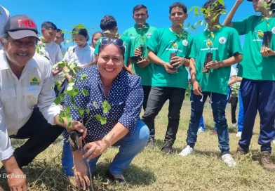 inafor, nicaragua, arboretum, tipitapa, reforestacion,