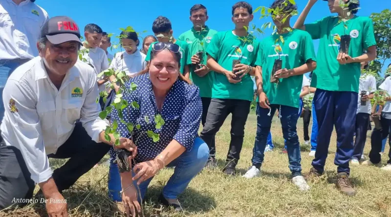 inafor, nicaragua, arboretum, tipitapa, reforestacion,