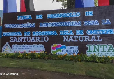 finca tecnologica, rivas, isla de ometepe, inta, tecnologia agropecuaria,