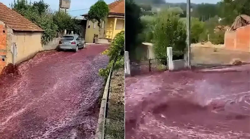 Anadia, Portugal, río, vino tinto, insólito, impresionante, inundó, calles, caudal, evento, inundación, redes, viral,