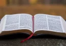 biblioa, opinion, nicaragua, la biblia, revolucion, libro,