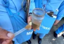 minsa, zancudos, barrio ayapal, managua, nicaragua, abate, bti, brigadistas de salud,