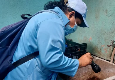 minsa, nicaragua, salud, enfermedades, zancudos