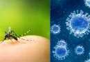 malaria, influenza, MINSA, Nicaragua, reporta, menos casos, positivos, enfermedades, epidémicas, incidencias, última semana, septiembre,