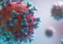 Coronavirus, covid-19, situacion, nicaragua, informe, minsa