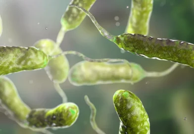 bacteria come carne, muerte, estados unidos, enfermedad
