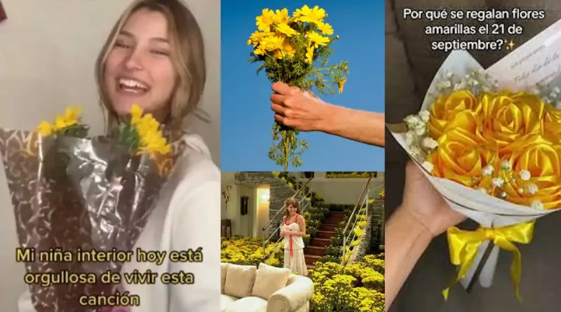 flores, amarillas, regalar, septiembre, viral, tendencia, argentina, tiktok, redes, primavera, inicio, ritual, parejas, afecto,