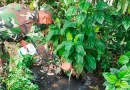 6 comando militar, ejercito de nicaragua, jornada antiepidemica, matagalpa, jinotega, nicaragua