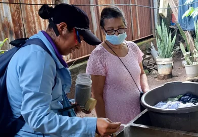minsa, bigadas, dengue, nicaragua, antiepidemica